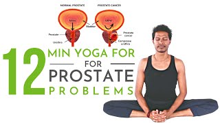 Yoga for Prostate Problems  12 Minutes  YOGA WITH AMIT [upl. by Joktan]