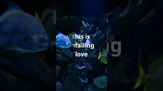 This is amazing grace  worship song  amazing grace lyrics  Ascension  Phil Wickham  shorts [upl. by Elaynad]