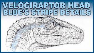 Detailing Blue the Velociraptor  Focus on Scales  Jurassic World [upl. by Damara]