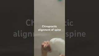 Chiropractic alignment of spine chiropractor [upl. by Trixi599]