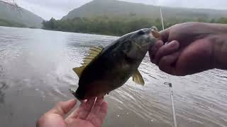 LEHIGH RIVER FISHING With Jerk Bait  9  7  2024 [upl. by Suciram]