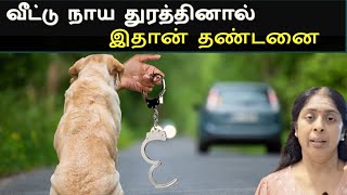 9 lakhs fine புதிய சட்டம் தெரிஞ்சுக்காங்க  Street Dogs in Tamil [upl. by Jezrdna]