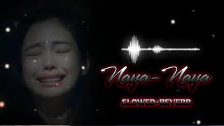 NayaNaya New Song 2024  SlowedReverb New hindi song [upl. by Yrrek]