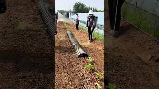 Herbicide spraying process [upl. by Ellord]