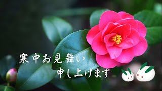 寒中見舞い 動画 グリーティング [upl. by Ramal]