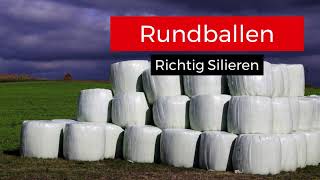 Grassilage Richtig Silieren in Rundballen [upl. by Woo]