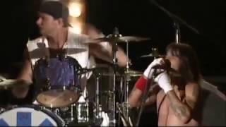 Red Hot Chili Peppers in Yokohama Japan 25072004 COMPLETE MULTICAM [upl. by Nuhsyar]