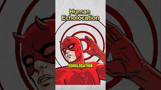 Superpower Ability Human Echolocation 🤯 explained [upl. by Recnal361]