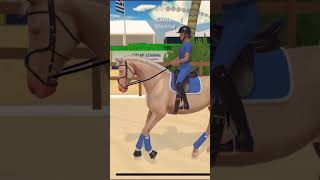 Practicing trot and canter transitions on Winston and ETG equestrianthegame horse horseriding [upl. by Ydnamron851]