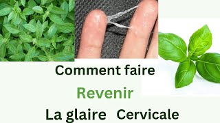 Comment faire revenir la glaire cervicale [upl. by Enined]