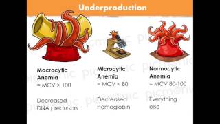 Anemias Picmonic Medicine Webinar [upl. by Isia90]