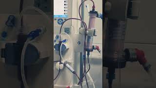 dialysis dialysismembrane doctor hospital dialysismachine [upl. by Ainesell]