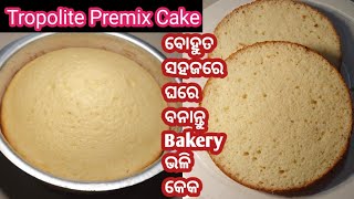 ବୋହୁତ ସହଜରେ ଘରେ ବନାନ୍ତୁ Bakery Style କେକ❗️ Tropolite Premix Cake 12 kg Measurement ❗️ [upl. by Anit417]