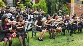 Carnaval ayacuchano 2019 con los mejores violinistas en Canto Andino [upl. by Aleekat70]