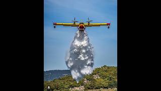 FIREFIGHTING PLANES IN ACTION The Best of Canadair [upl. by Pederson332]