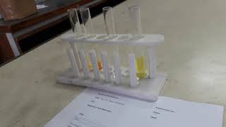 Tests for water Pollutants CAPE Chemistry [upl. by Haden756]