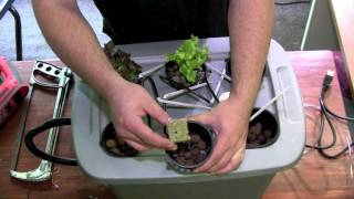 How to build a hydroponic system part 2 [upl. by Nowd373]