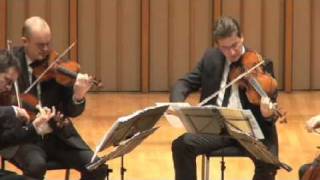 Mozart Dissonance Quartet K465  2nd Movement [upl. by Akenal]