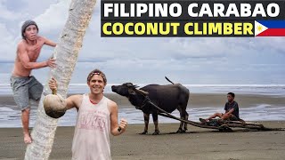 FILIPINO CARABAO MAN HELPS US  Beach Land Work In The Philippines Coconut Climber [upl. by Venetis]