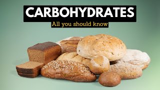 Carbohydrates Everything You Need To Know [upl. by Nosyarg137]