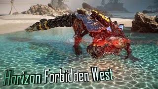 Horizon Forbidden West Levelling Guide [upl. by Naeloj]