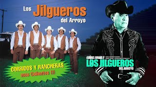 Los Jilgueros Del Arroyo Corridos y Rancheras Mas Calientes  Lo Mejor De Los Jilgueros Del Arroyo [upl. by Llenna]