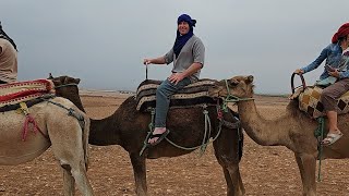 Moroccan Adventure Part 2  Saadian Tombs  Agafay Desert  Ouzoud Falls  Jardin Majorelle [upl. by Gloria253]