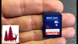 How to download trail camera pictures from a Memory Card or SD card on a PC or Laptop [upl. by Llednahc]