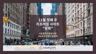 11월 첫째 주 리프레임 사이트 문화  포괄적 차별 금지법 갈등 뉴욕 무단 횡단법 합법화 [upl. by Ydnam]