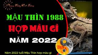 Tuổi Mậu Thìn 1988 hợp với màu gì năm 2022 để mang lại tài lộc may mắn [upl. by Kedezihclem]