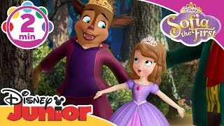 Sofia the First  Beauty is the Beast  Disney Junior UK [upl. by Anotyal]