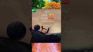 HAdees hadees allah subhanallah fyp wazifaforlove rizaqkawazifa shorts vtuber tree [upl. by Skipp]