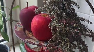 Geen last van fruitvliegjes en gewone vliegen in huis met deze wilde planten tip [upl. by Neela926]