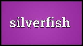 Silverfish Meaning [upl. by Nnayecats]