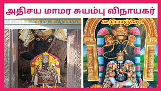 மாமர சுயம்பு சித்தி விநாயகர் கூடுவாஞ்சேரி Mamara Suyambu Vinayagar Guduvancheri [upl. by Atinahs]