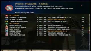 Carr11 Premio PHALARIS 02072024 [upl. by Alansen122]