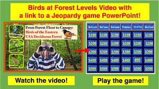 Birds from Forest Floor to Canopy with Quiz PowerPoint [upl. by Shawn600]