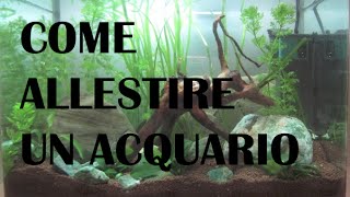 Come allestire un acquario dacqua dolce tank 25 litri  Aquarium setup [upl. by Ehud]