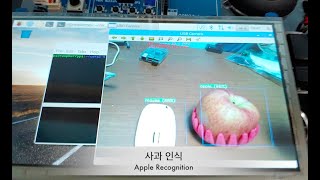 Raspberry Pi  Google Coral Object Detection [upl. by Dupre]