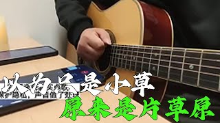 原以为只是头上有颗草，没想到是一片草原！music 情感 [upl. by Danika]