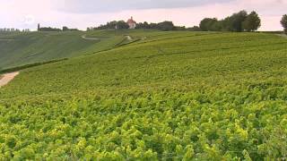 WineProducing Regions  Mosel Pfalz and Franconia  Discover Germany [upl. by Anitsirt728]