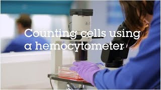 Counting cells using a hemocytometer video protocol [upl. by Nnad]