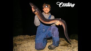 Black Tide Conger Eel Fishing  Jurassic Coast Dorset  Rob Stammas [upl. by Israel966]