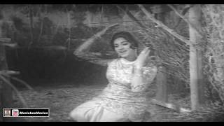 BAAZI JIT LAYI JIND PYAR DE NAVE Sper Hit  NOOR JEHAN  PAKISTANI FILM DULLA HAIDRI [upl. by Gearhart870]