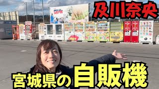 199 及川奈央「宮城県の自販機」 [upl. by Asilahs]