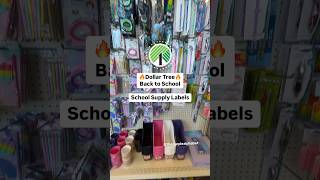 GREAT Back to School Find at Dollar Tree schoolsupplies organization dollartree [upl. by Cichocki510]