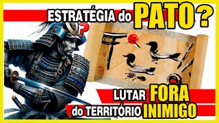 O PATO vence o TIGRE Estratégia de defesa [upl. by Damales]