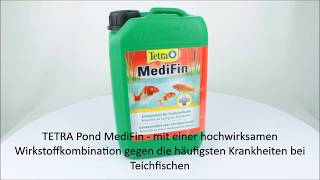 TETRA POND MediFin 3 L  Produktvideo  360°Ansicht [upl. by Severn500]