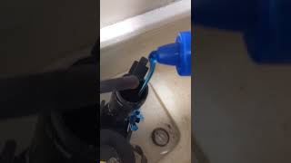 Quick tip on Killing Bacteria inside your Toilet shorts plumbing cleaning [upl. by Oballa]