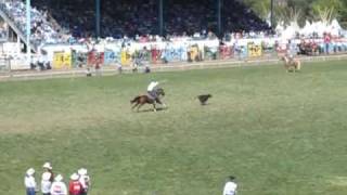 Pendleton Round Up  Calf Roping  Friday perf [upl. by Atinnor399]